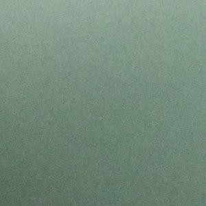 Meet your Posher, Bianey